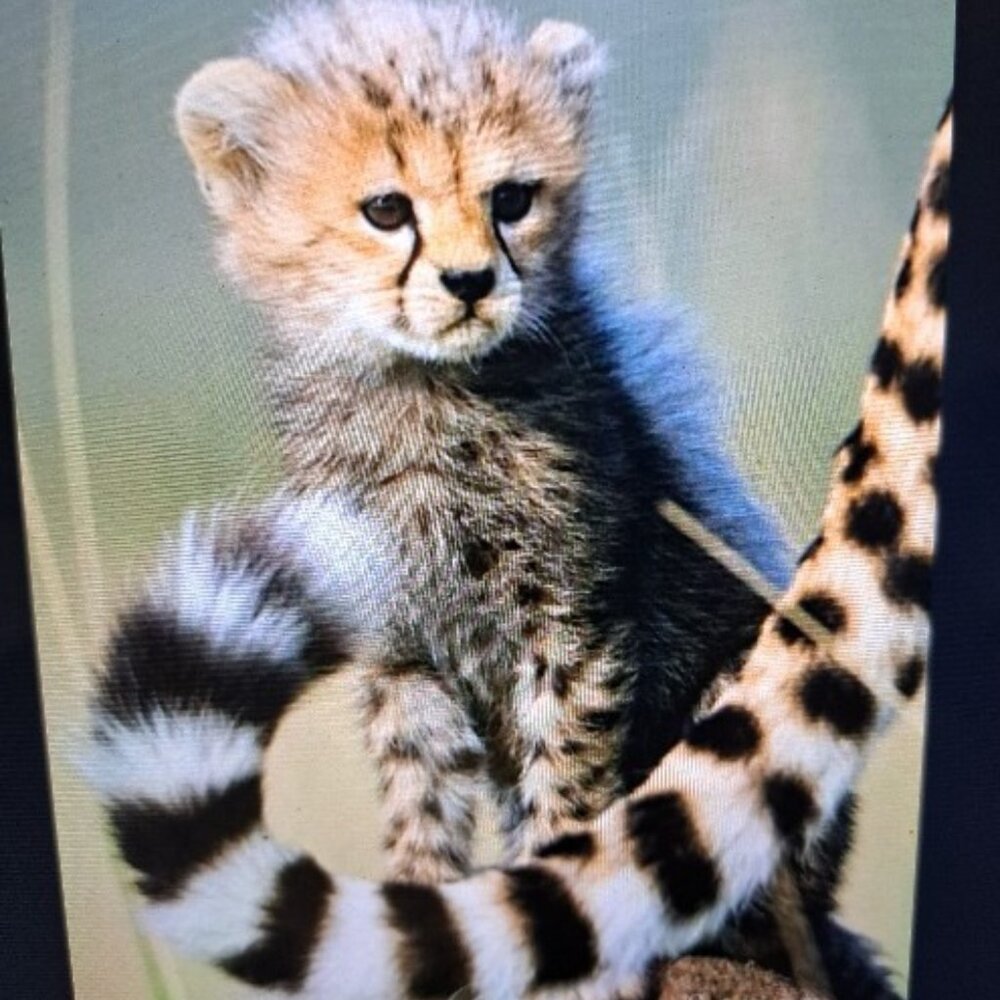 Meet your Posher, Valerie